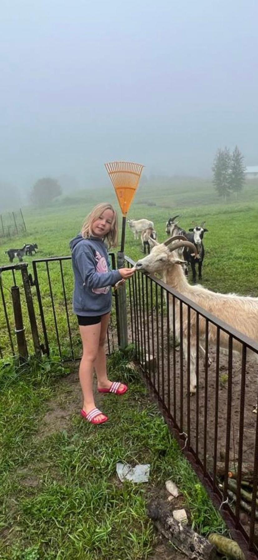 Piekalne Hotell Kalniesi Exteriör bild